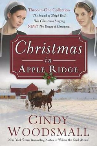 Cover of Christmas in Apple Ridge