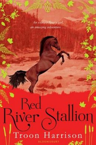 Cover of Red River Stallion
