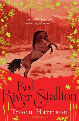 Book cover for Red River Stallion