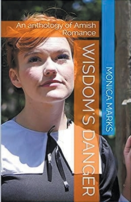 Book cover for Wisdom's Danger