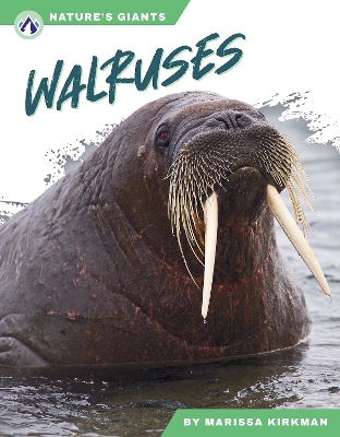 Book cover for Walruses