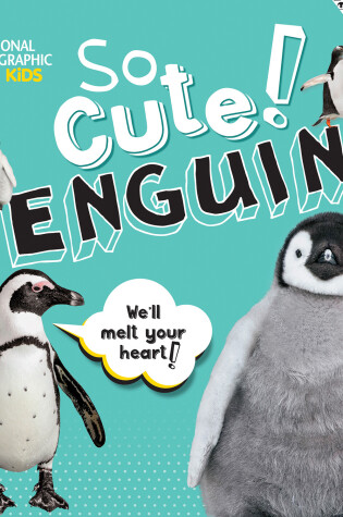 Cover of So Cute: Penguins