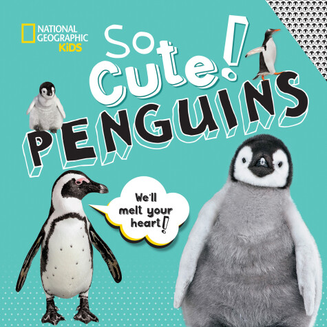 Book cover for So Cute: Penguins