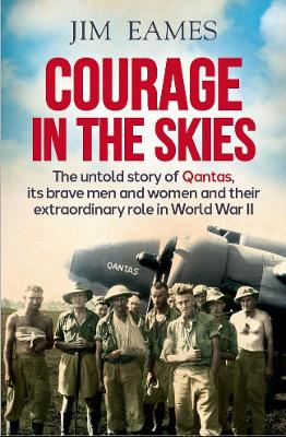 Book cover for Courage in the Skies