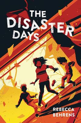 Book cover for The Disaster Days