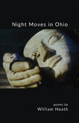 Book cover for Night Moves in Ohio