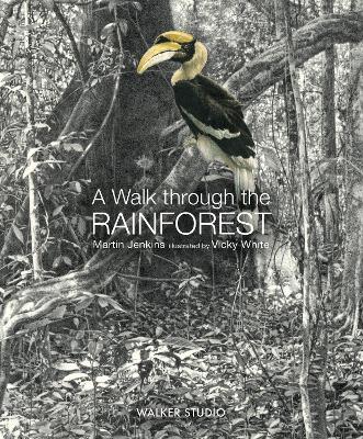 Book cover for A Walk Through the Rainforest