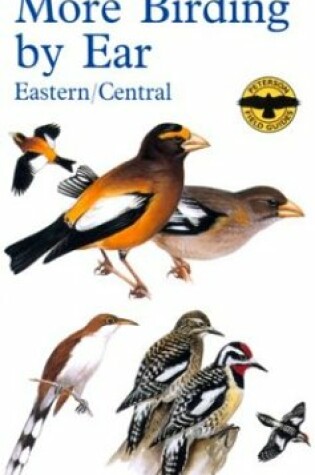 Cover of More Birding by Ear Eastern and Central North America