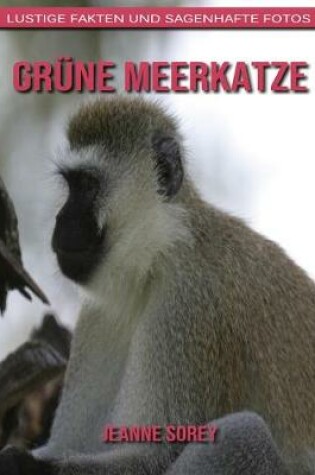 Cover of Grüne Meerkatze