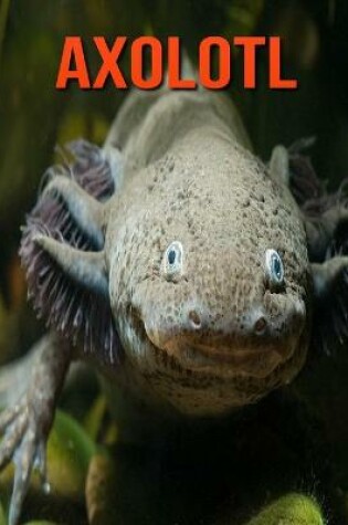 Cover of Axolotl