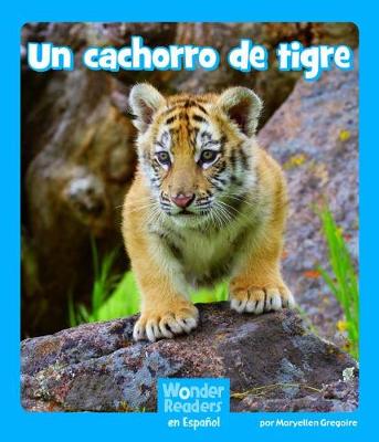 Book cover for Un Cachorro de Tigre