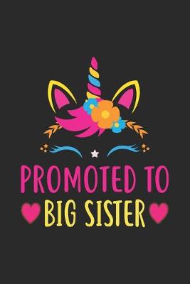 Book cover for Promoted To Big Sister