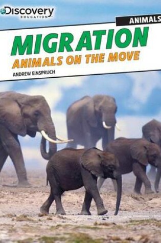 Cover of Migration: Animals on the Move