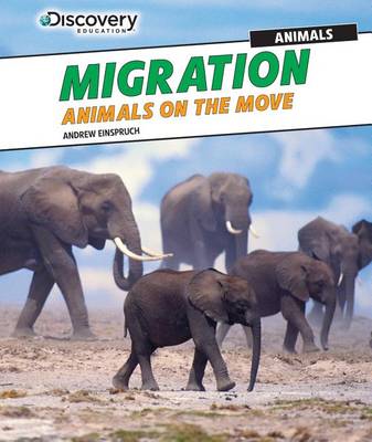 Book cover for Migration: Animals on the Move