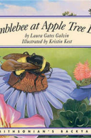 Cover of Bumblebee at Apple Tree Lane