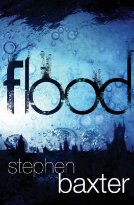 Book cover for Flood