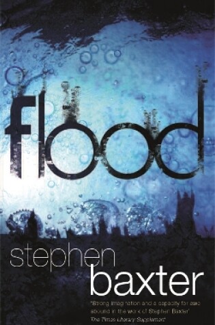 Cover of Flood