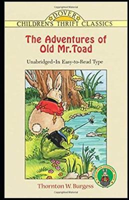 Book cover for The Adventures of Old Mr. Toad