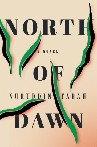 Book cover for North of Dawn