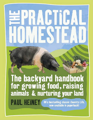 Book cover for The Practical Homestead