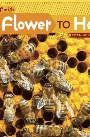 Cover of From Flower to Honey