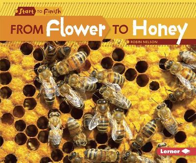 Book cover for From Flower to Honey