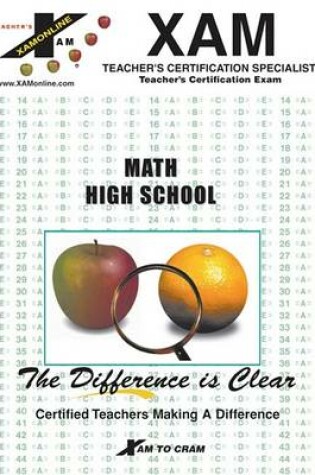 Cover of Instant Mtel Mathematics High School