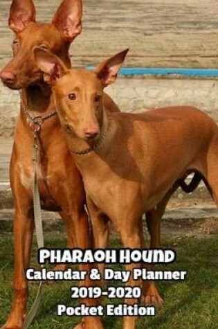 Cover of Pharaoh Hound Calendar & Day Planner 2019-2020 Pocket Edition