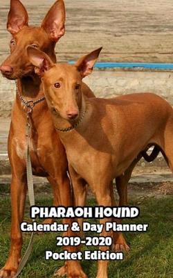 Book cover for Pharaoh Hound Calendar & Day Planner 2019-2020 Pocket Edition