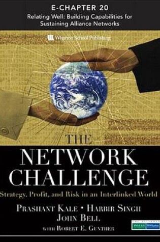 Cover of The Network Challenge (Chapter 20)