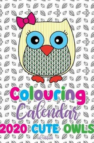 Cover of Colouring Calendar 2020 Cute Owls (UK Edition)
