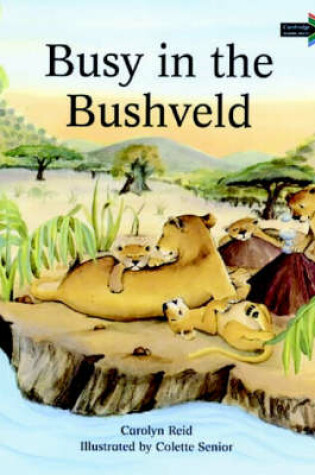 Cover of Busy in the Bushveld South African edition