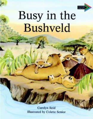 Cover of Busy in the Bushveld South African edition