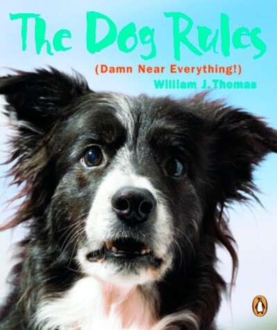 Book cover for Dog Rules
