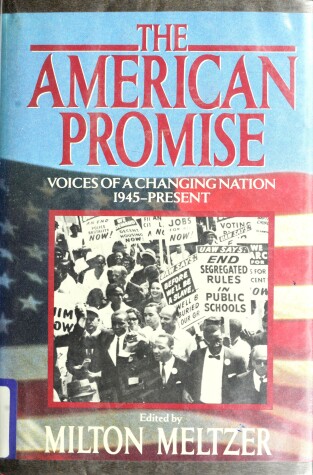 Book cover for The American Promise