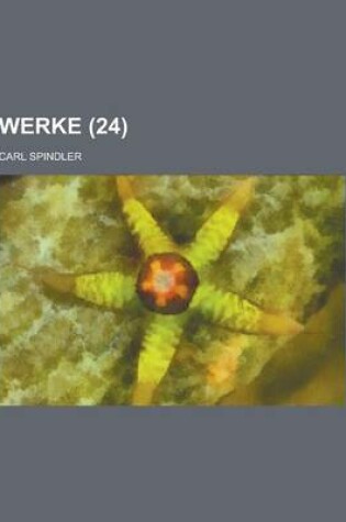 Cover of Werke Volume 24