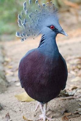 Book cover for Victoria Crowned Pigeon Journal