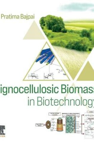 Cover of Lignocellulosic Biomass in Biotechnology