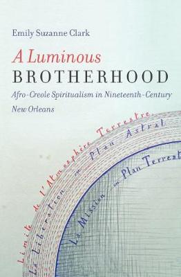 Book cover for A Luminous Brotherhood