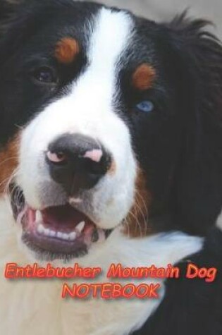 Cover of Entlebucher Mountain Dog NOTEBOOK