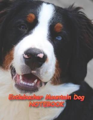 Book cover for Entlebucher Mountain Dog NOTEBOOK