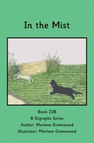 Cover of In the Mist