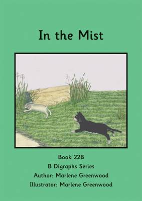 Book cover for In the Mist