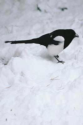 Book cover for Journal Wild Bird In Snow