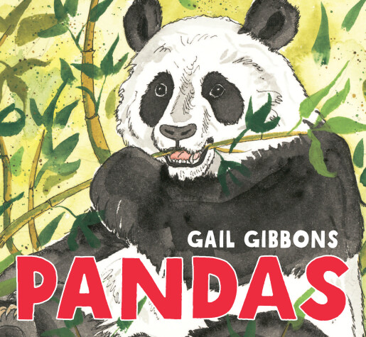 Book cover for Pandas