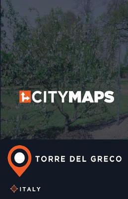 Book cover for City Maps Torre del Greco Italy