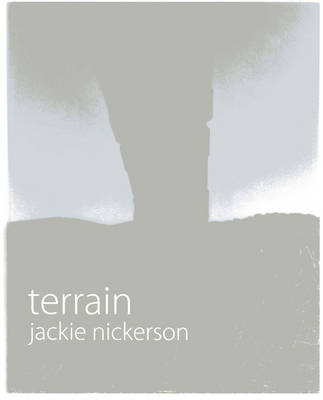 Book cover for Terrain