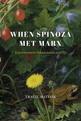 Cover of When Spinoza Met Marx