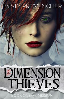 Book cover for The Dimension Thieves