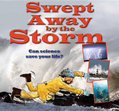 Book cover for Swept Away by the Storm